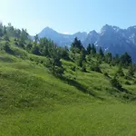 Alpenzauber
